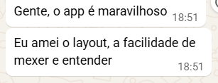 eu amei o layout, a facilidade de mexer e entender