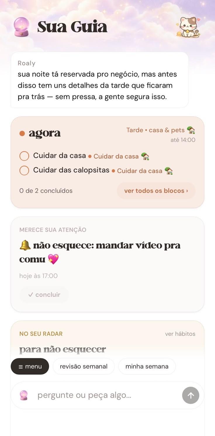a guia diária da Roaly, com os blocos de horário e lembretes